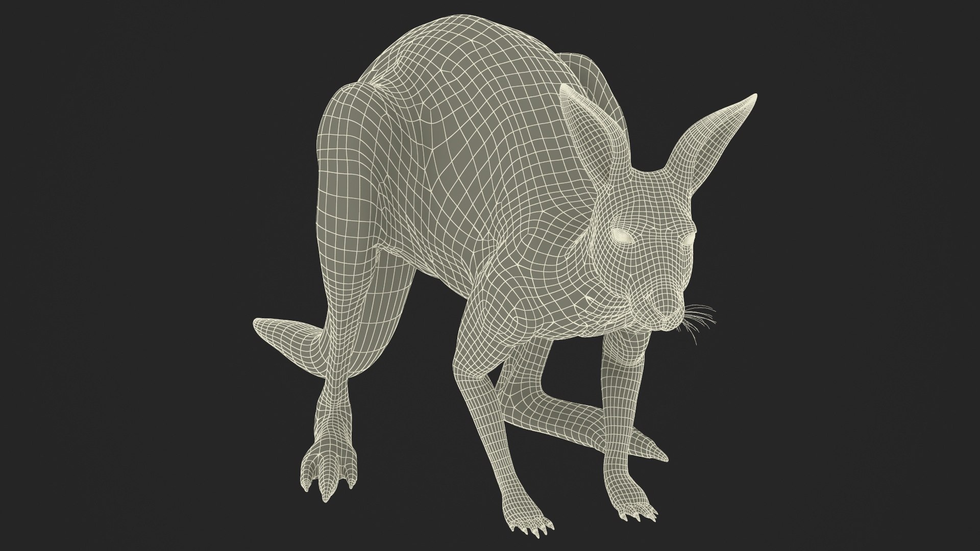 3D Kangaroo Stands On Four Paws Fur - TurboSquid 2284097