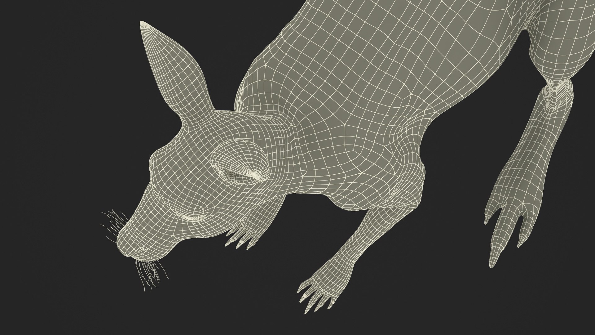 3D Kangaroo Stands On Four Paws Fur - TurboSquid 2284097