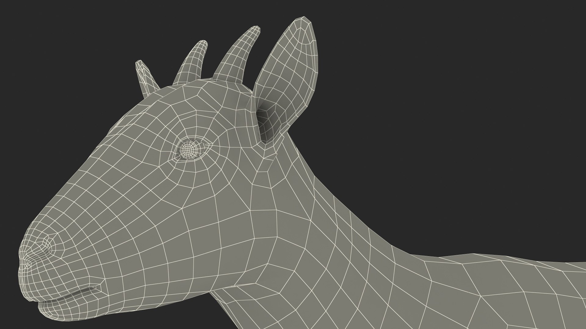 Goat Saanen Breed Rigged 3D model https://p.turbosquid.com/ts-thumb/KI/gNuY1G/26/goatsaanenbreedrigged3dmodel026/jpg/1669204193/1920x1080/fit_q87/e2a4ceb67f79901820d3af2e7c3937fbe76426c3/goatsaanenbreedrigged3dmodel026.jpg