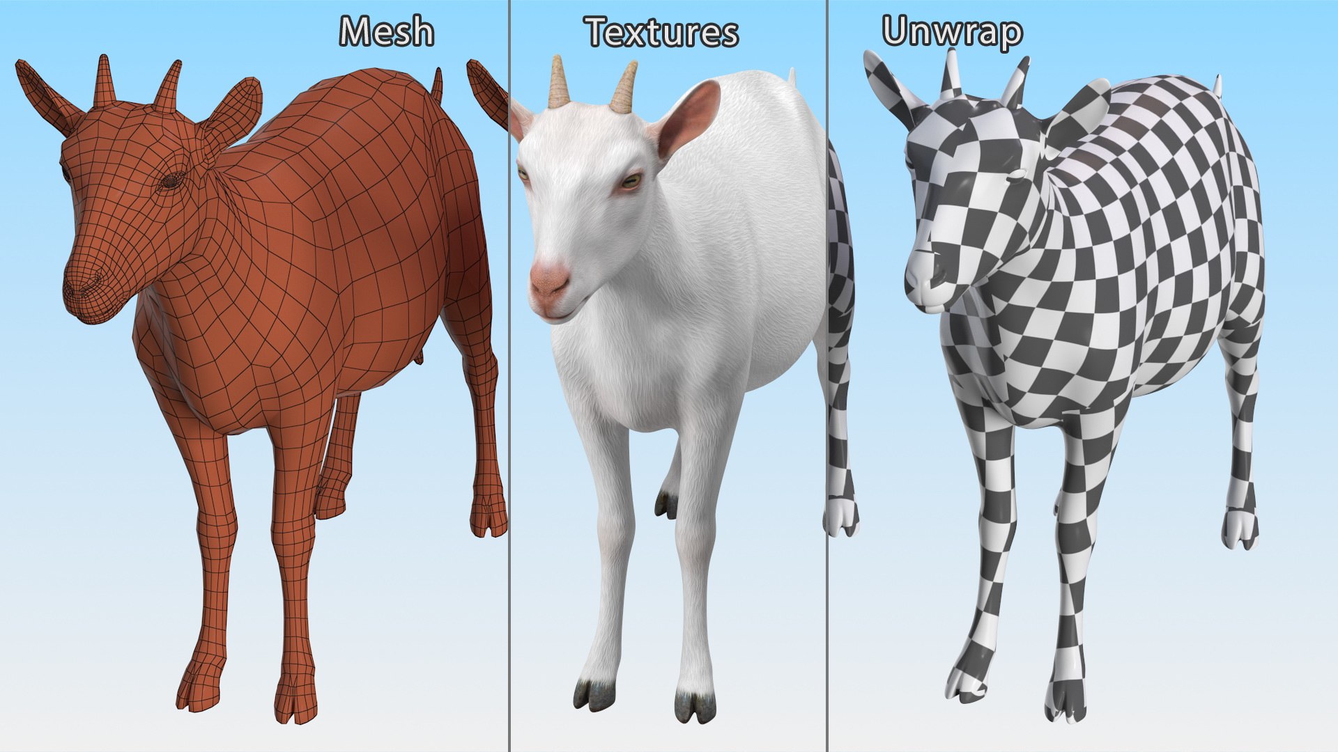Goat Saanen Breed Rigged 3D model https://p.turbosquid.com/ts-thumb/KI/gNuY1G/3Y/goatsaanenbreedrigged3dmodel017/jpg/1669204163/1920x1080/fit_q87/031d352144656025999efcb055b2cf35fc84d837/goatsaanenbreedrigged3dmodel017.jpg