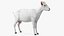 Goat Saanen Breed Rigged