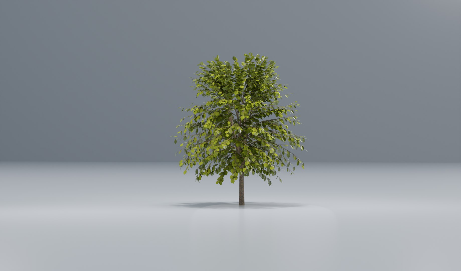 3D Tree - TurboSquid 2240965
