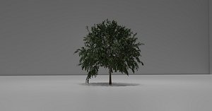 3D Tree