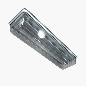 small roof light max