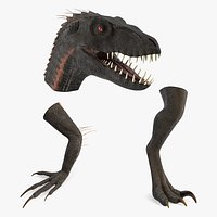 Dinosaur Superficial Anatomy Collection