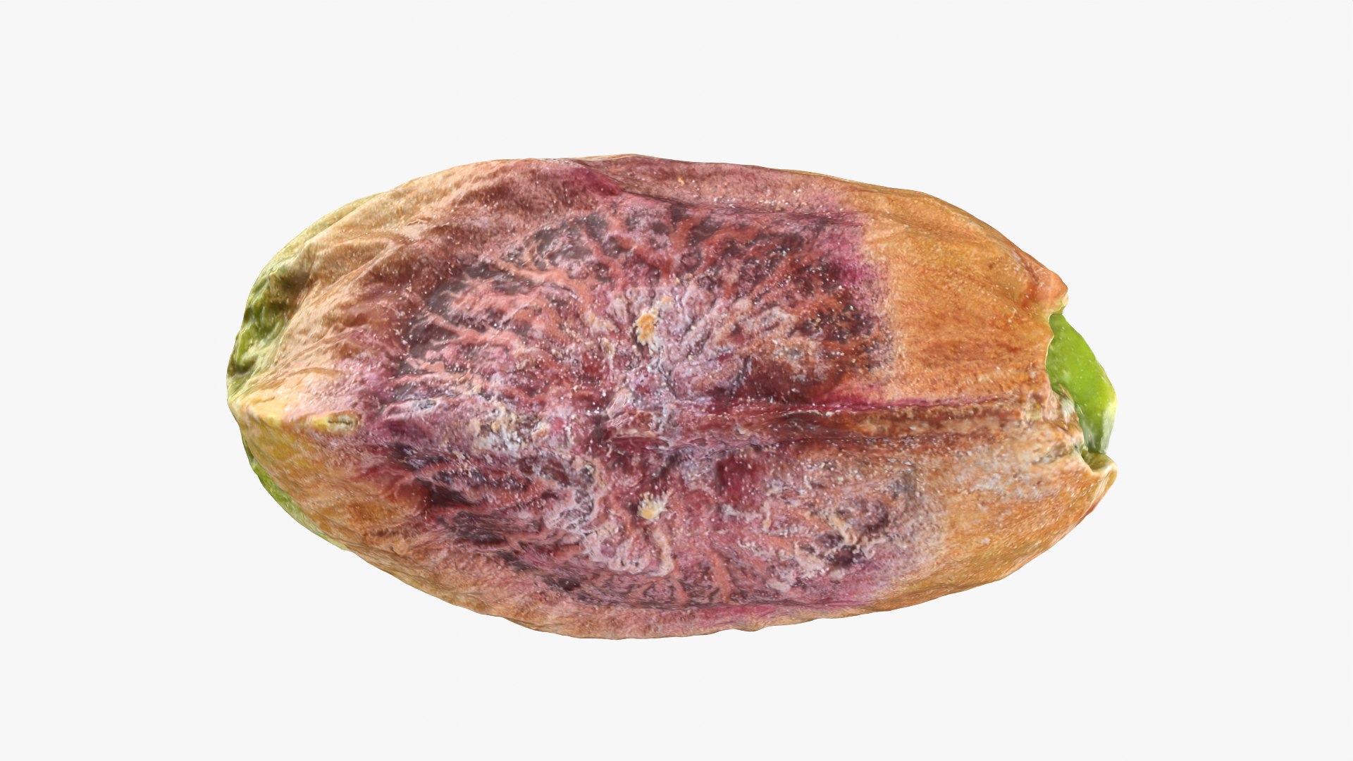 Pistachio Collection 3 model https://p.turbosquid.com/ts-thumb/KJ/0Z5vwd/2f/pistachiopeeled_0001/png/1755449679/1920x1080/fit_q87/8687fb9fd1d7ac0fbd9f8be6cfbc7d220d390ad5/pistachiopeeled_0001.jpg