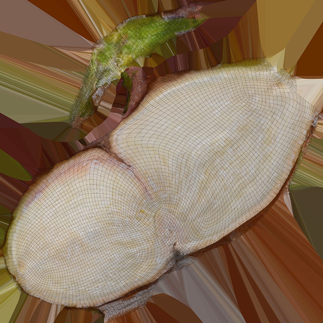 Pistachio Collection 3 model https://p.turbosquid.com/ts-thumb/KJ/0Z5vwd/8g/pistachio02_c0004/png/1755449627/1920x1080/fit_q87/378dbe791baf6d1b42837b438f10d9dc16cd6904/pistachio02_c0004.jpg