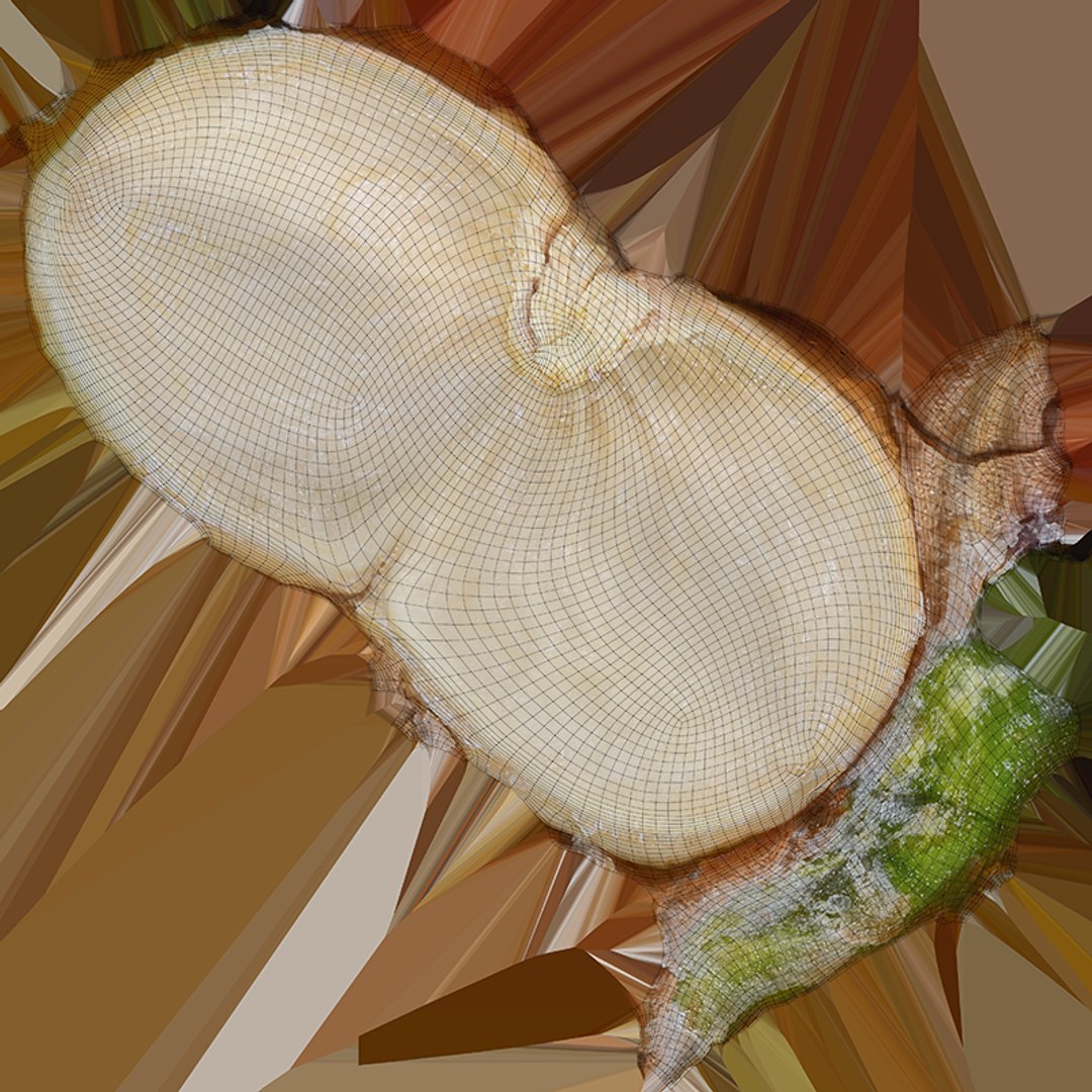 Pistachio Collection 3 model https://p.turbosquid.com/ts-thumb/KJ/0Z5vwd/fp/pistachio03_c0004/png/1755449586/1920x1080/fit_q87/255ffbd69832c42b51f1004f108ec604a92bbe83/pistachio03_c0004.jpg