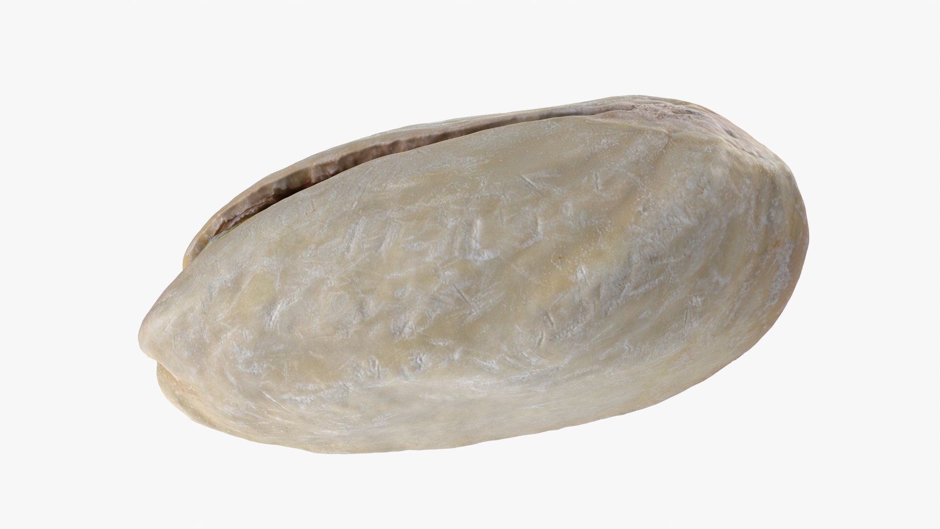 Pistachio Collection 3 model https://p.turbosquid.com/ts-thumb/KJ/0Z5vwd/kt/pistachio02_0012/png/1755449628/1920x1080/fit_q87/fdf3de6a3594c2c7b6c78f4ac15a08d62a7ca50c/pistachio02_0012.jpg