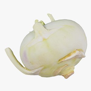 Salad Remastered 3D model