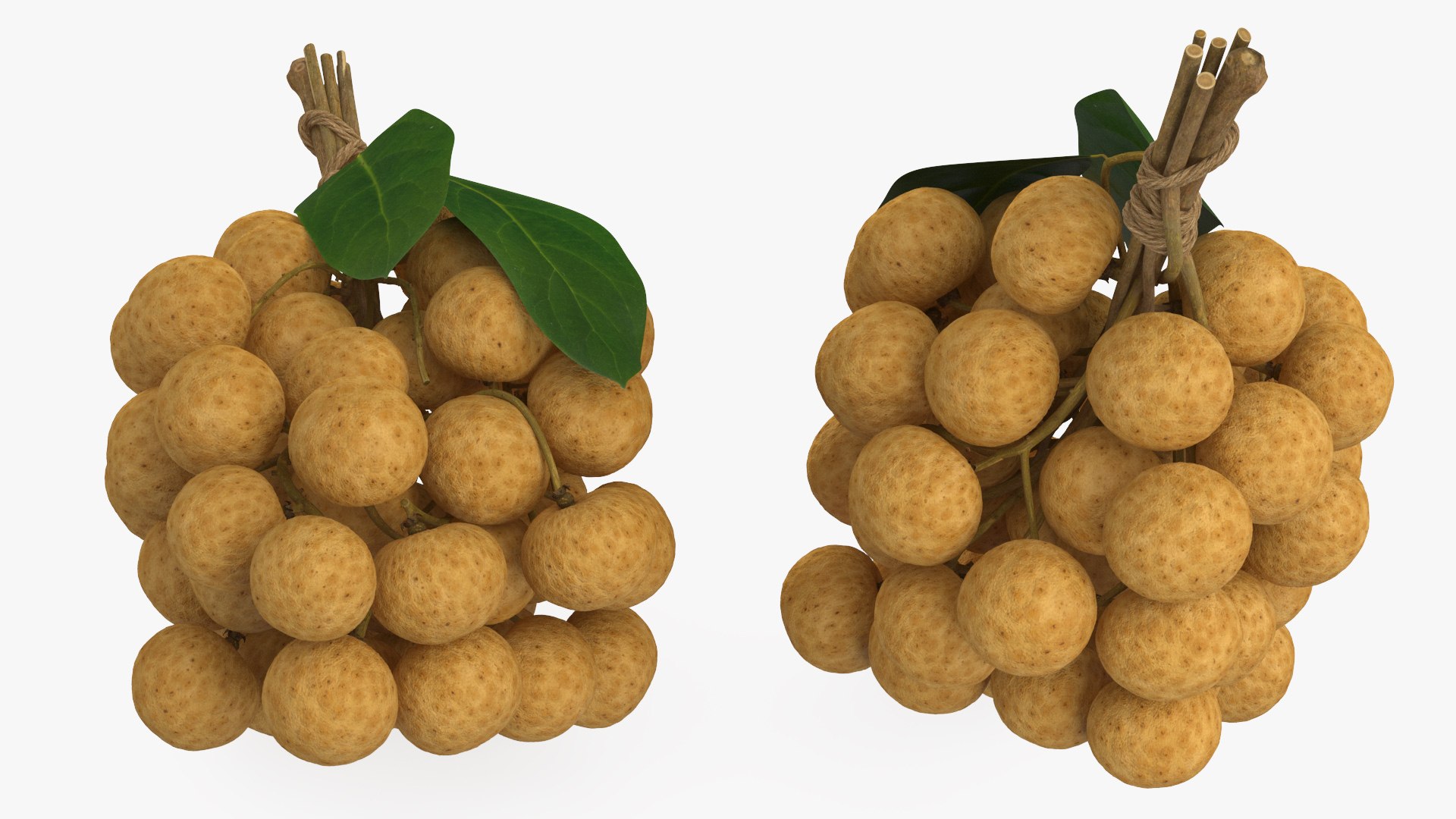 3D Model Longan Exotic Fruit Bundle - TurboSquid 2197609