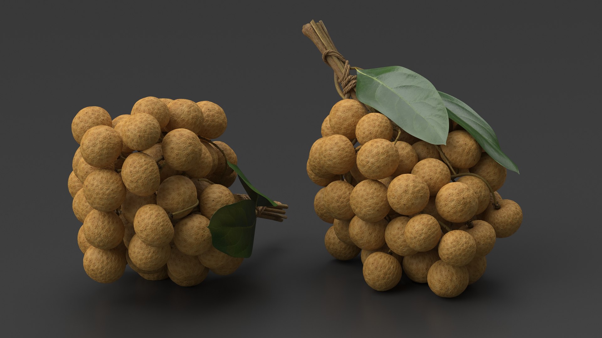 3D Model Longan Exotic Fruit Bundle - TurboSquid 2197609