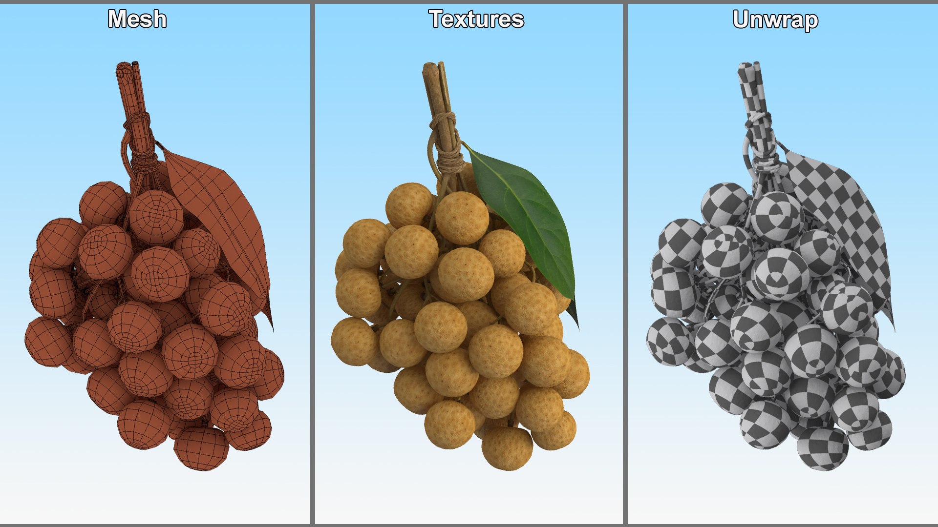 3D Model Longan Exotic Fruit Bundle - TurboSquid 2197609