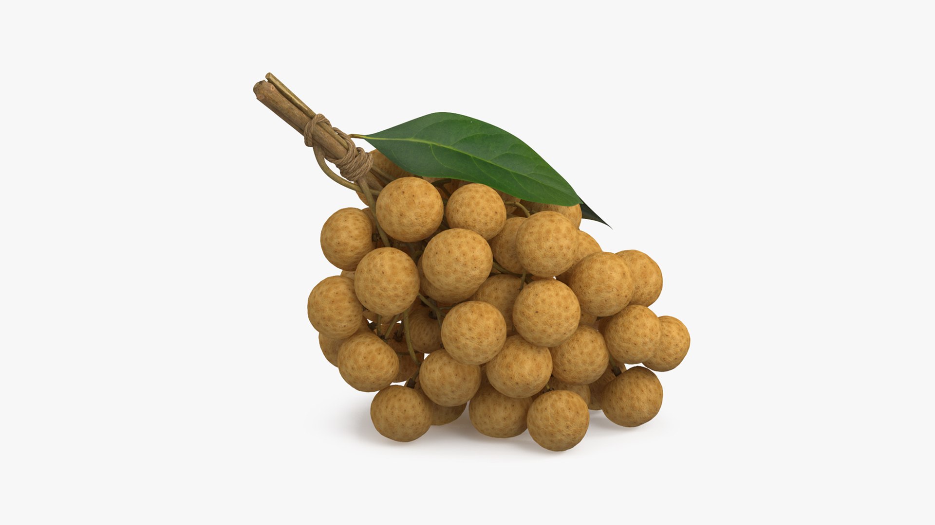 Longan Exotic Fruit Bundle 3D model preview