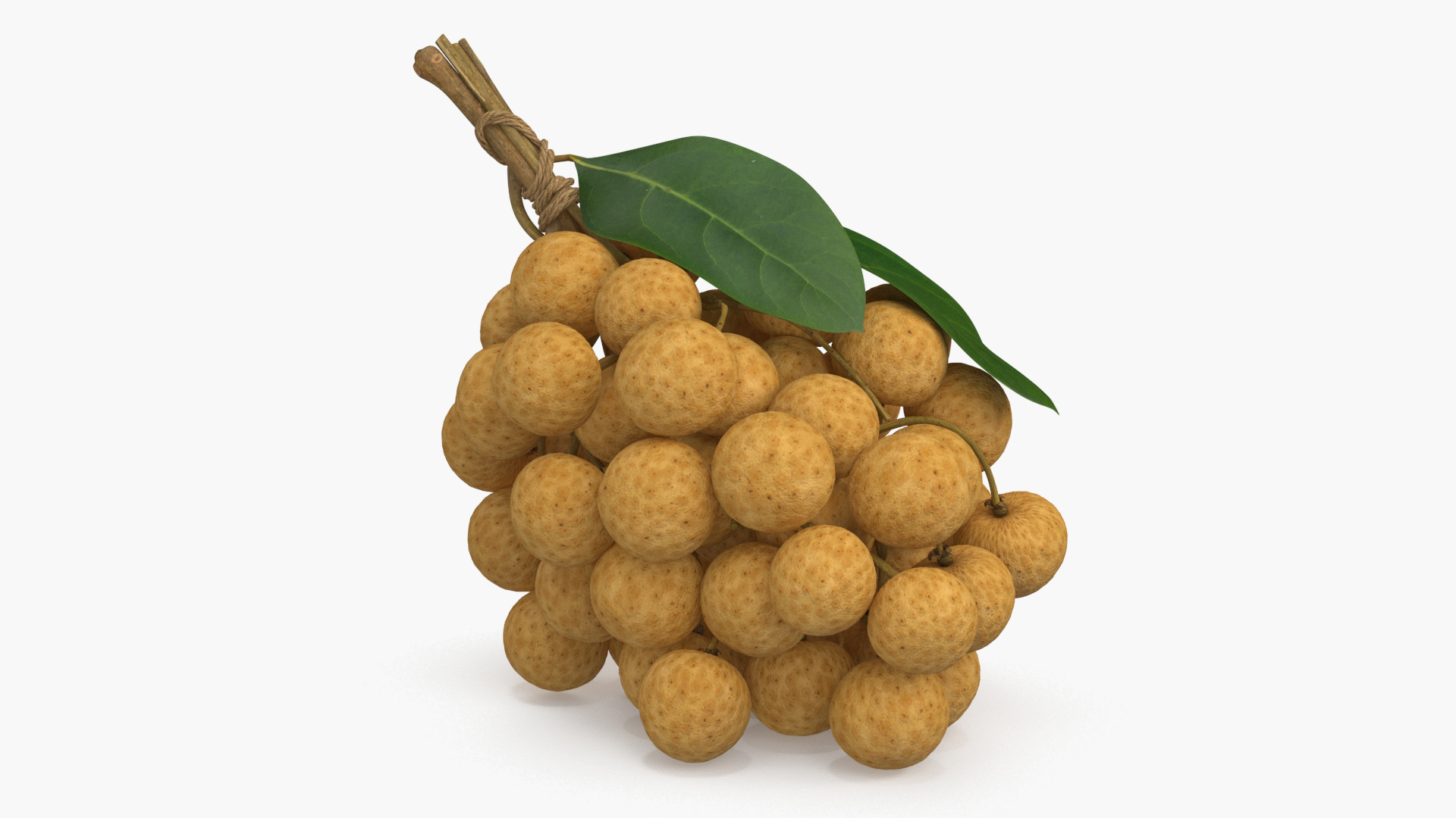 3D Model Longan Exotic Fruit Bundle - TurboSquid 2197609