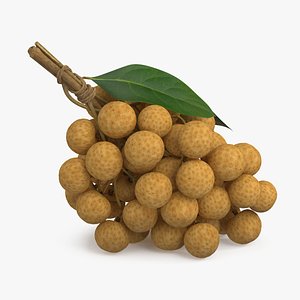 3D model Longan Exotic Fruit Bundle