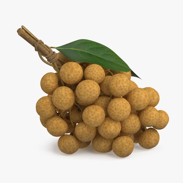 3D model Longan Exotic Fruit Bundle