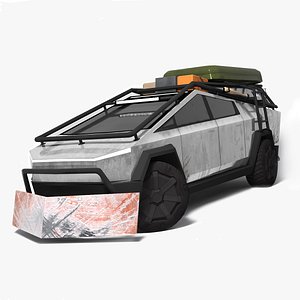 Cybertruck Survival