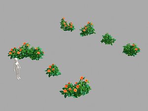 miscellaneous flowers - small model