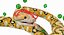 Yellow Python Snake Rigged