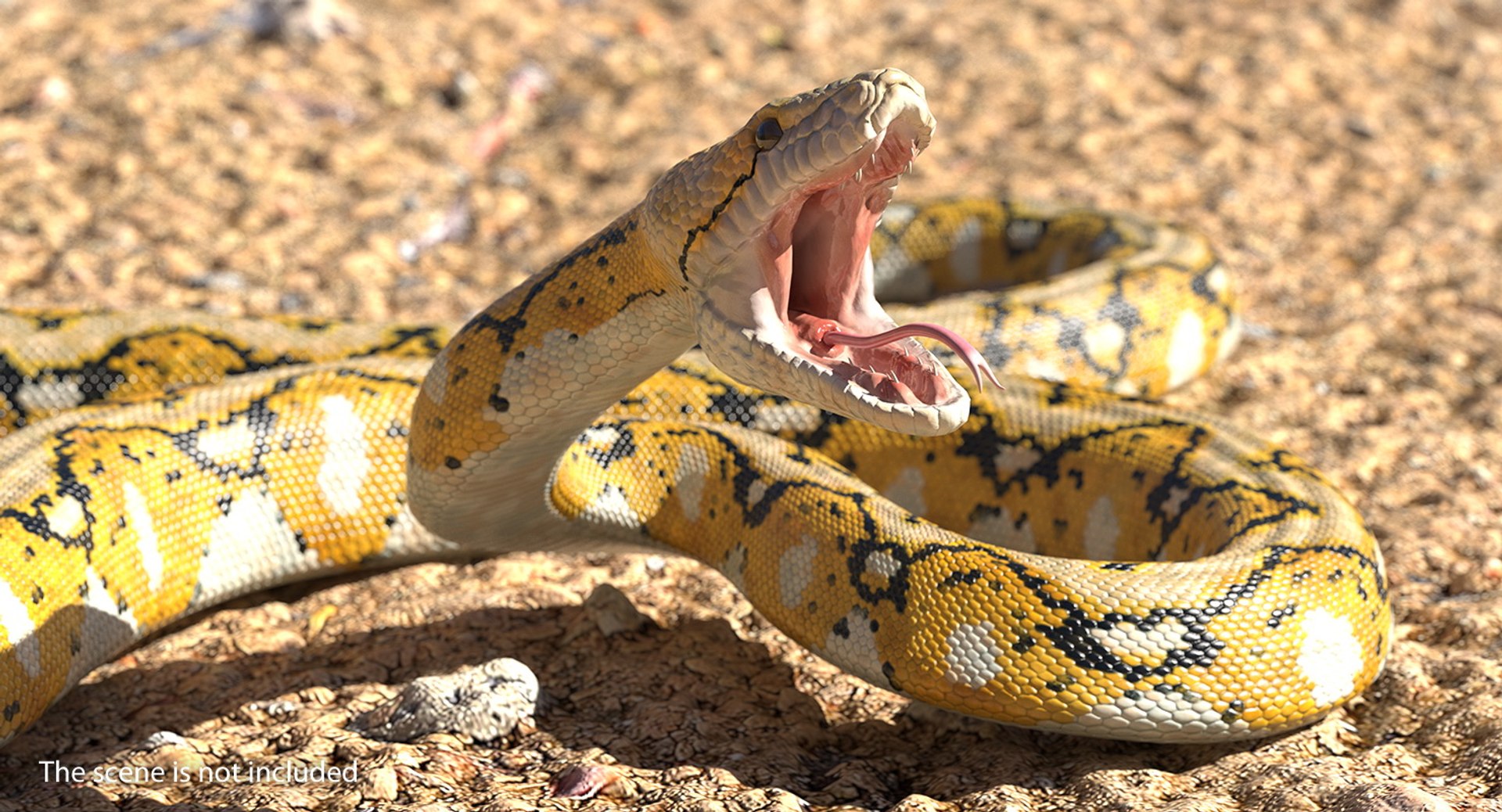 yellow python snake rigged 3D https://p.turbosquid.com/ts-thumb/KK/6iaTHm/DeMhj3uP/yellowpythonsnakeriggedmb3dmodel008/jpg/1561532581/1920x1080/fit_q87/b900423da2912f580522b5cf372807e59d67b50d/yellowpythonsnakeriggedmb3dmodel008.jpg