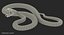 Yellow Python Snake Rigged