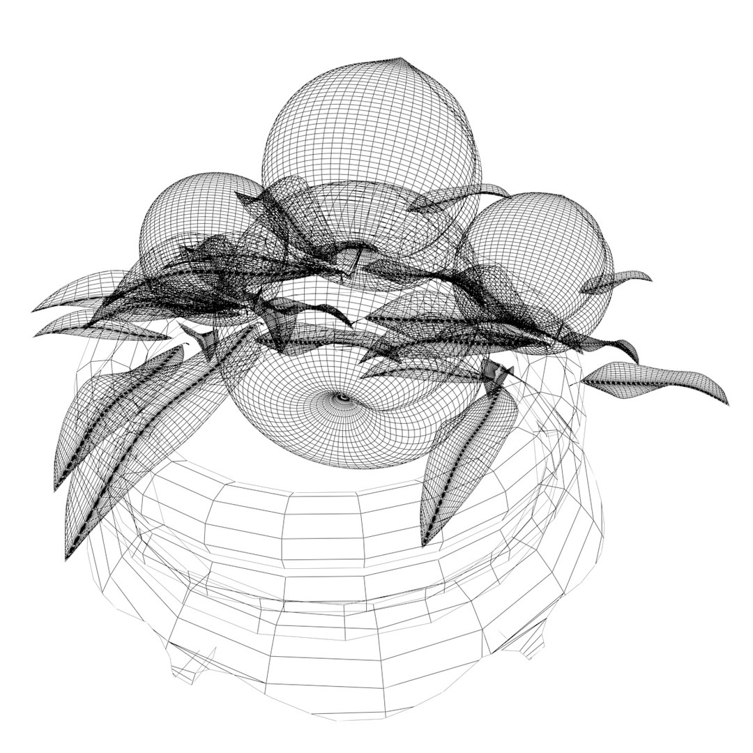 Chinese Peach 3D Model TurboSquid 1564413