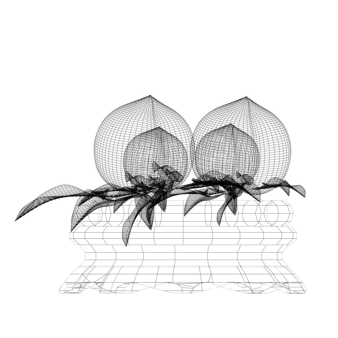 Chinese Peach 3D Model TurboSquid 1564413