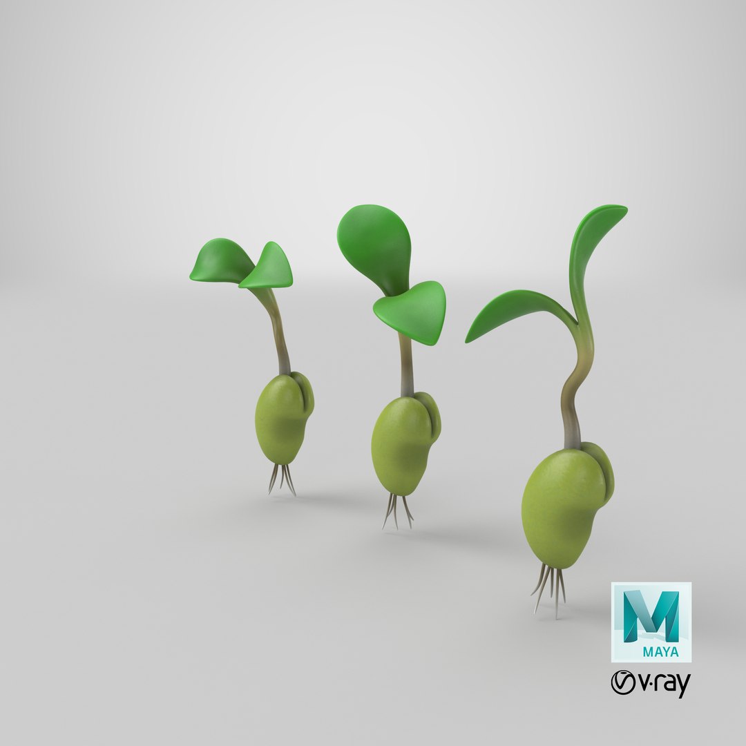 growing seed set 3D model https://p.turbosquid.com/ts-thumb/KK/MyFISy/ARXf1qyC/stemcell_maya_vray_render/png/1607538472/1920x1080/fit_q87/79a820aba4d1442283879185c4b3f695951816eb/stemcell_maya_vray_render.jpg