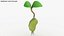Growing Seed Set