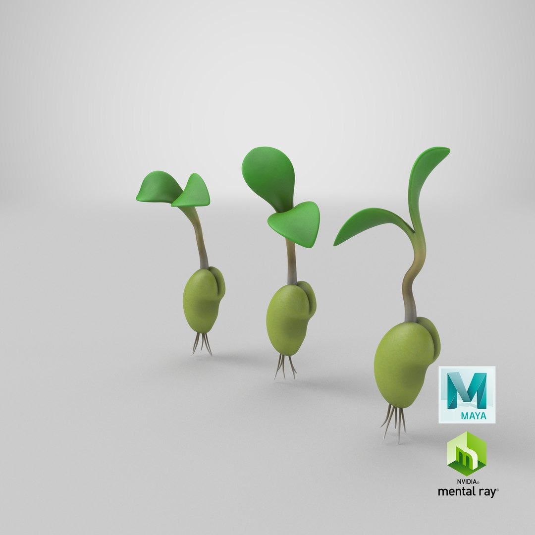 growing seed set 3D model https://p.turbosquid.com/ts-thumb/KK/MyFISy/L9iyrywY/stemcell_maya_mental_ray_render/png/1607538468/1920x1080/fit_q87/54585c500600378b2a3cf0f36cc277946c627c4b/stemcell_maya_mental_ray_render.jpg