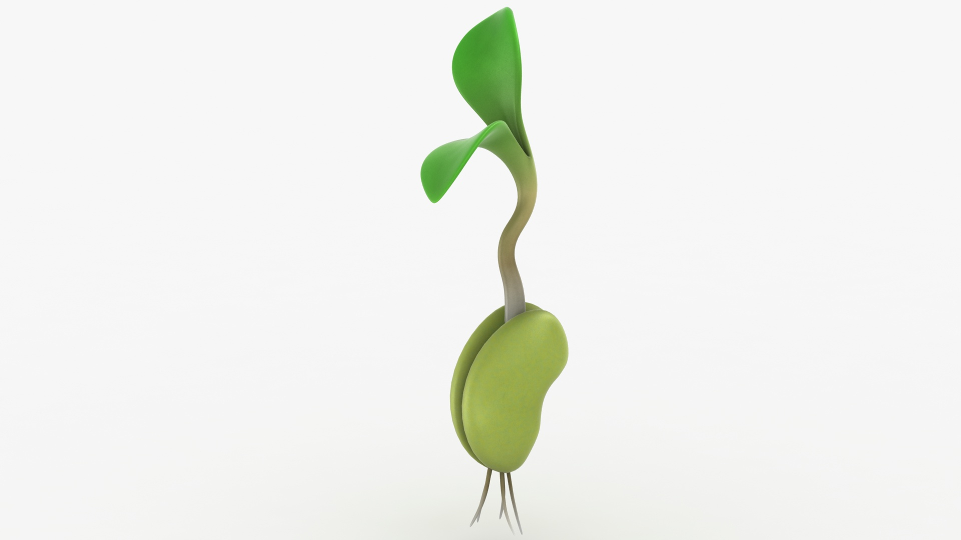 growing seed set 3D model https://p.turbosquid.com/ts-thumb/KK/MyFISy/MddPwEh8/growingsee/jpg/1605729234/1920x1080/turn_fit_q99/f9607610214b192ac817ada431bbeae354ba9e00/growingsee-1.jpg