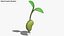 Growing Seed Set