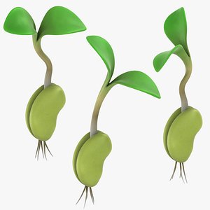 Growing Seed Set