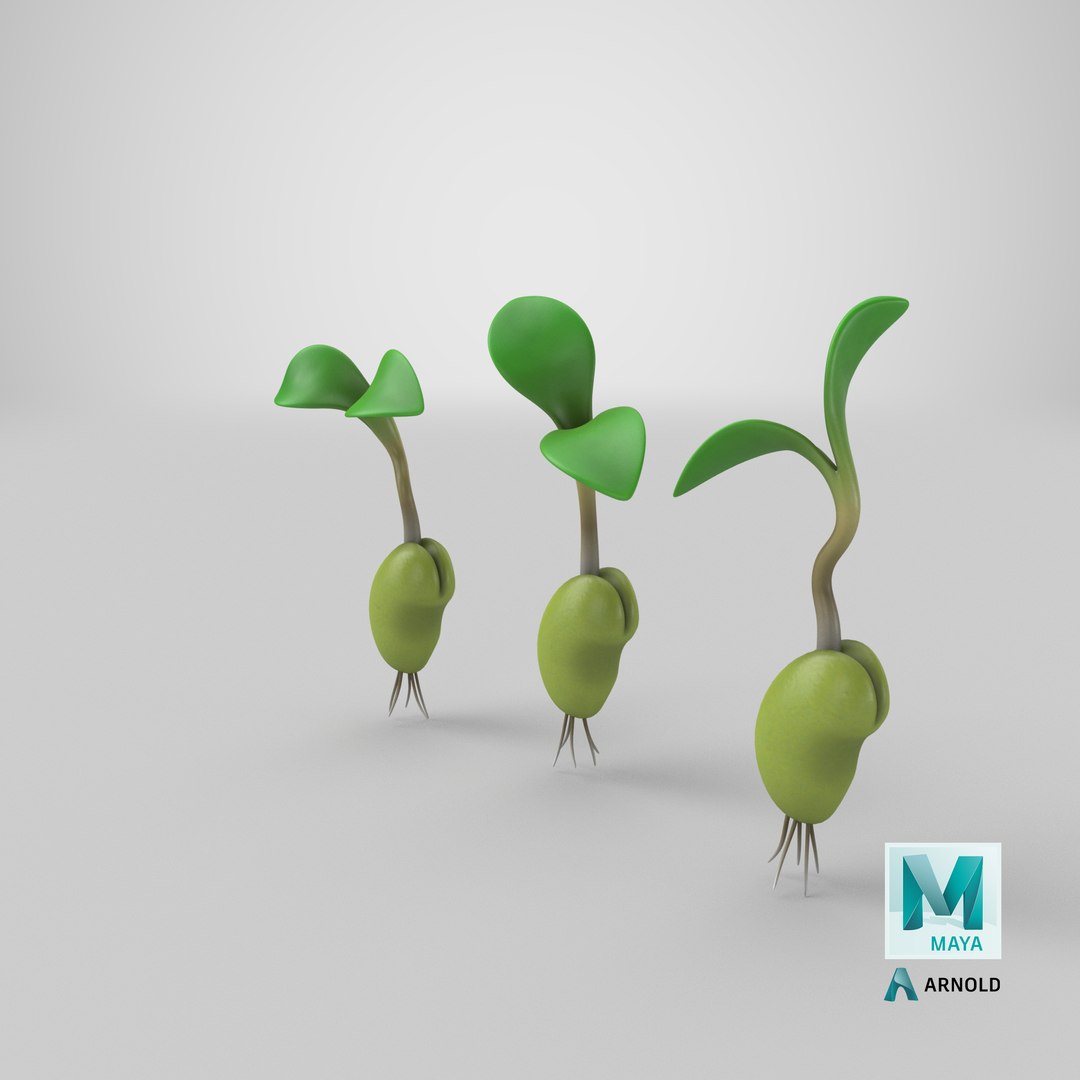 growing seed set 3D model https://p.turbosquid.com/ts-thumb/KK/MyFISy/gPdRJN0e/stemcell_maya_arnold_render/png/1607538465/1920x1080/fit_q87/2c42a371f6ae1123d9d8b9d679c63a73c4f0adee/stemcell_maya_arnold_render.jpg