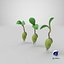 Growing Seed Set