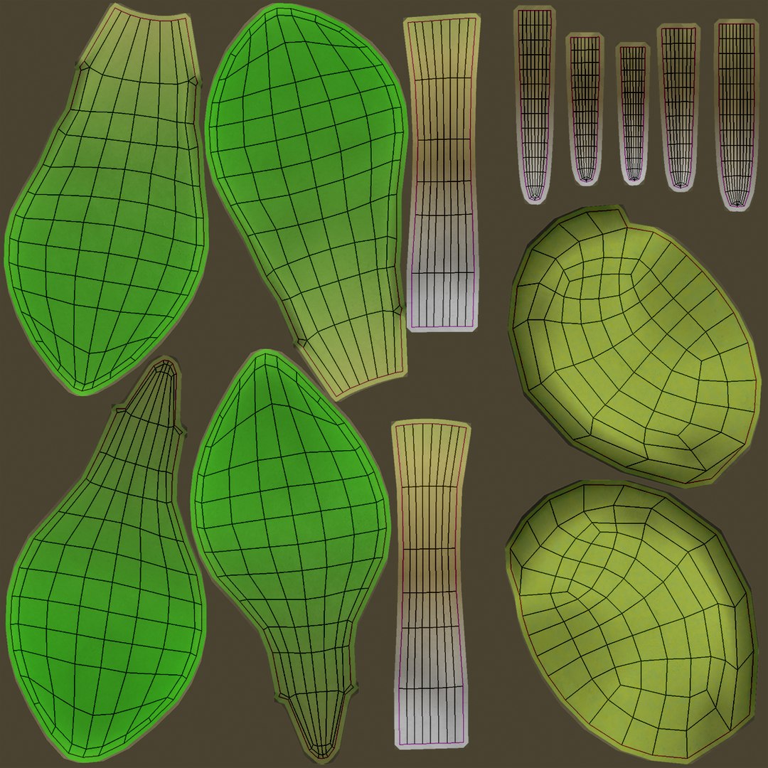 growing seed set 3D model https://p.turbosquid.com/ts-thumb/KK/MyFISy/hhpOWaQm/lemon_rr_32/jpg/1605729244/1920x1080/fit_q87/c80d2c8e4b018b36fa92be67ac652a138de49eee/lemon_rr_32.jpg