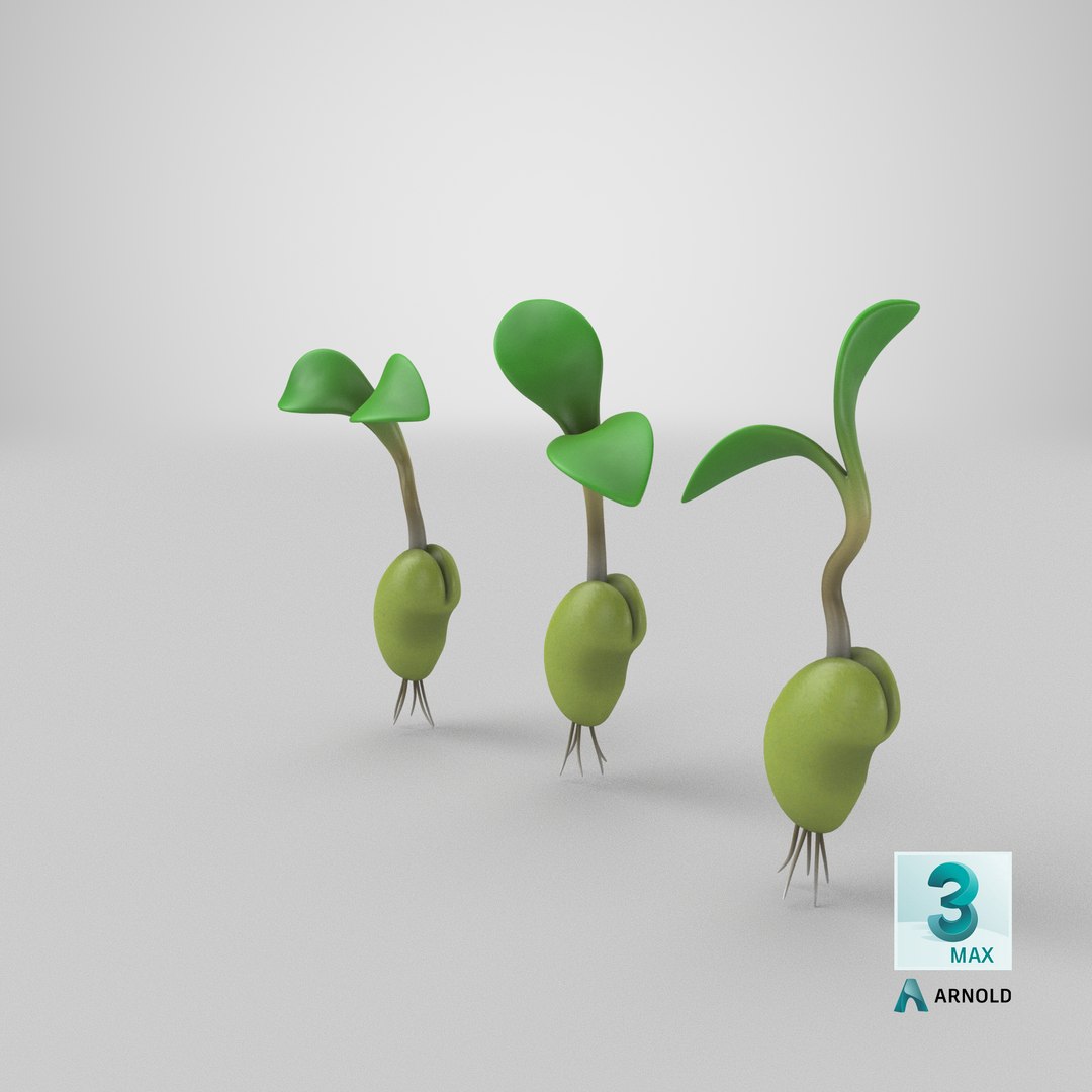 growing seed set 3D model https://p.turbosquid.com/ts-thumb/KK/MyFISy/l0kG2Clm/stemcell_max_arnold_render/png/1607538455/1920x1080/fit_q87/c6a5426a55632addbeb25bde5ba72680eb2bbda2/stemcell_max_arnold_render.jpg