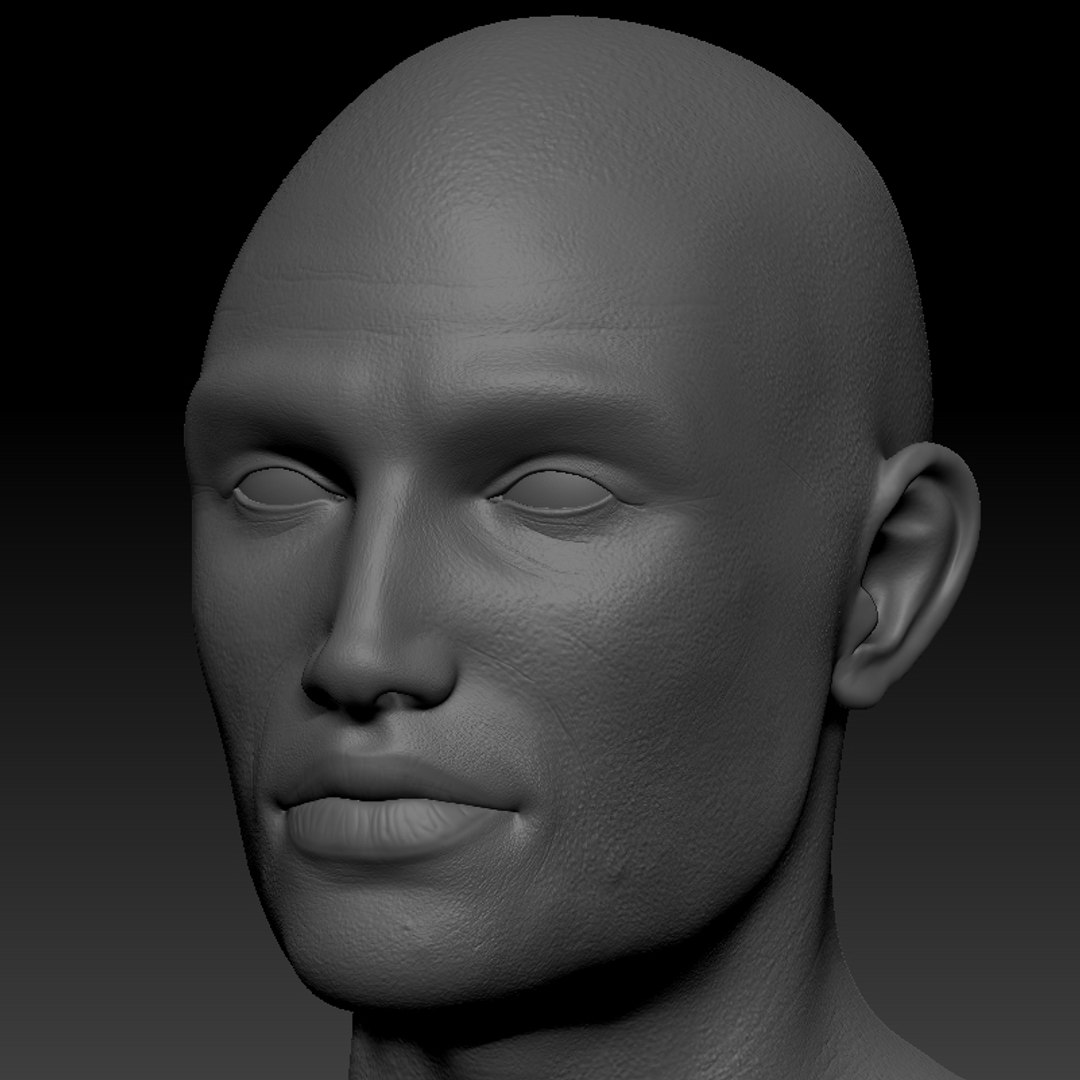 Anatomically Male Head Obj