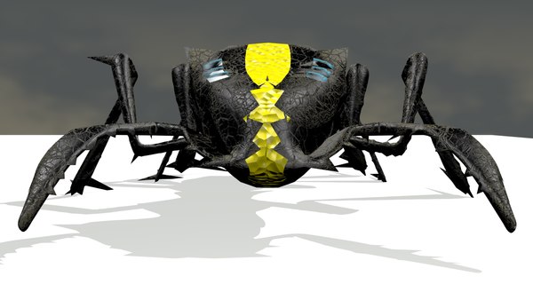 144.jpg