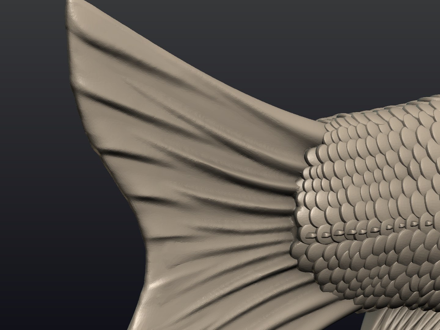 3д модель рыбы. Fish 3d model. Fish 3d.