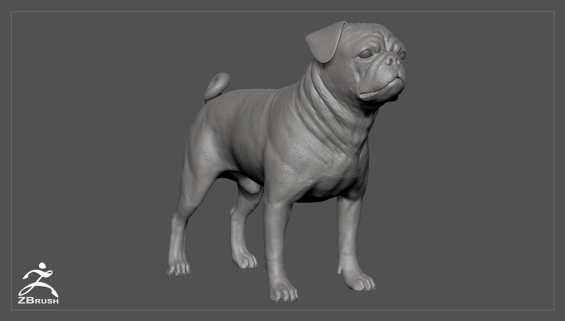 3d model realistic pug dog real-time