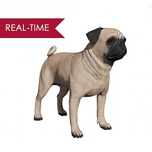 3d model realistic pug dog real-time