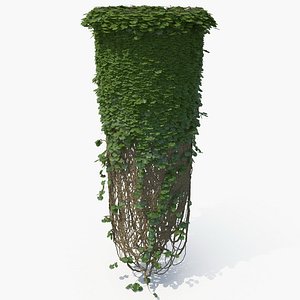 Ivy Column