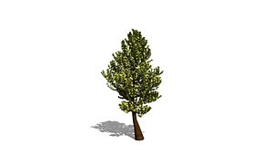 free obj model tree