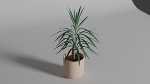Yucca plant 3D model