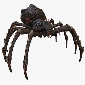 Spider Warrior 3D model