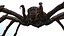Spider Warrior 3D model