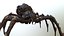 Spider Warrior 3D model