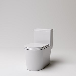 toilet(40)